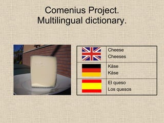 Comenius Multilingual Dictionary Spain