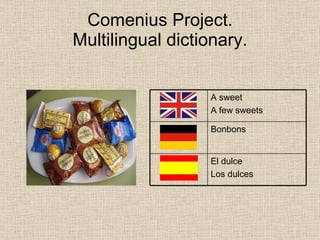 Comenius Multilingual Dictionary Spain