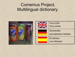 Comenius Multilingual Dictionary Spain