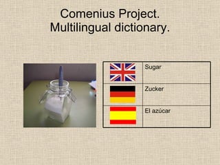 Comenius Multilingual Dictionary Spain