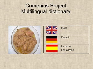 Comenius Multilingual Dictionary Spain