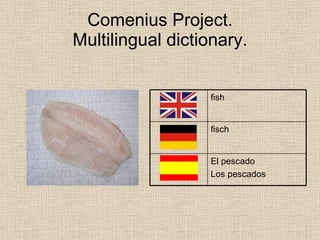 Comenius Multilingual Dictionary Spain