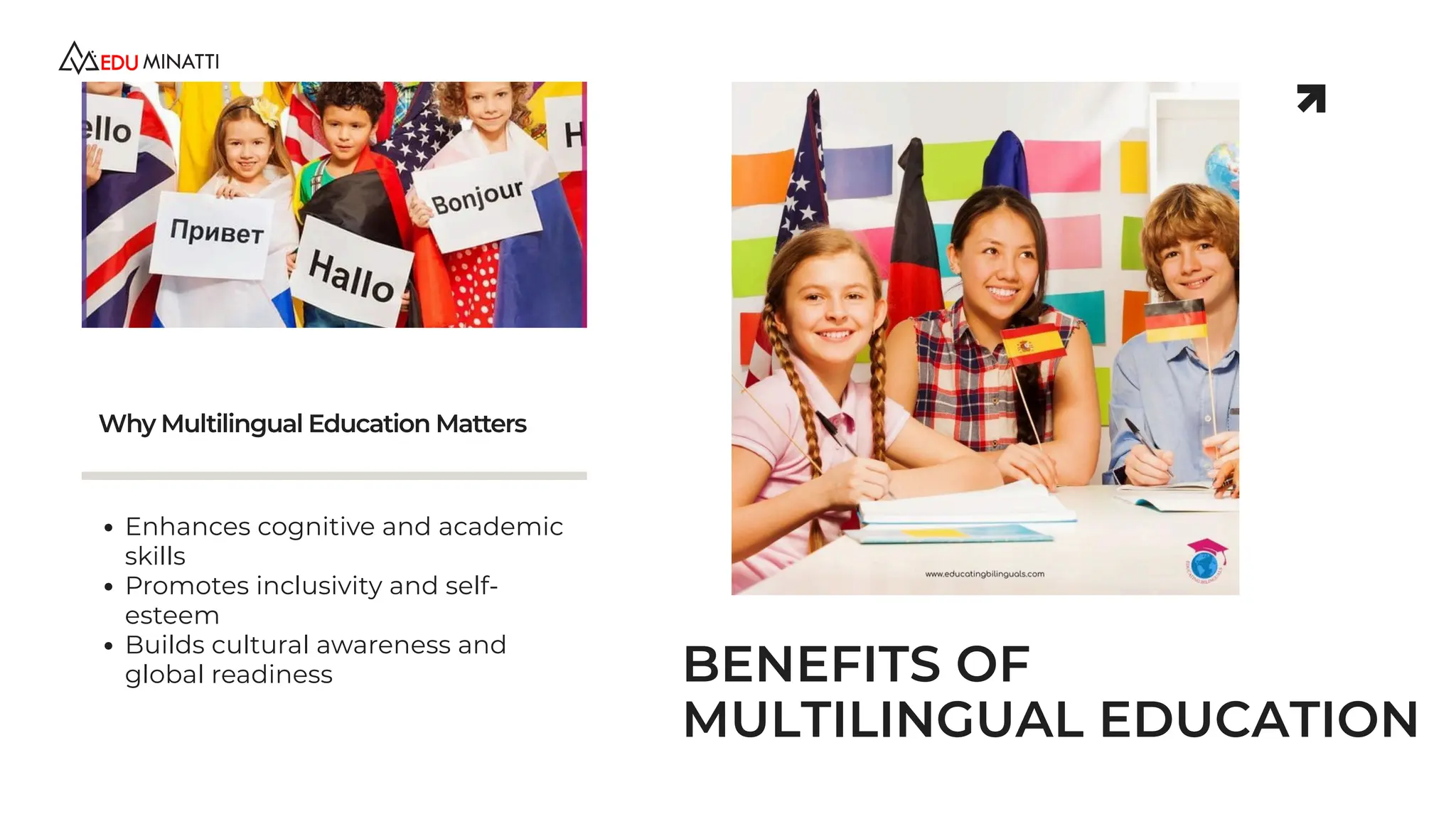 Multilingual Education Strategies for Diverse Student Populations | PDF