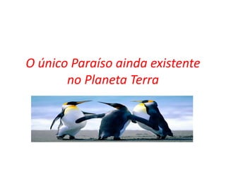 O único Paraíso ainda existente no Planeta Terra