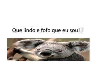 Que lindo e fofo que eu sou!!!