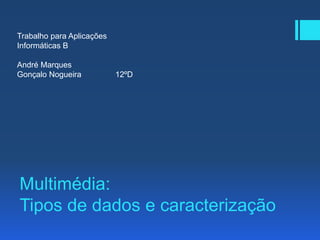 Multimédia:
Tipos de dados e caracterização
Trabalho para Aplicações
Informáticas B
André Marques
Gonçalo Nogueira 12ºD
 