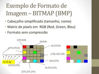 Exemplo de Formato de
     Imagem – BITMAP (BMP)
   • Cabeçalho simplificado (tamanho, nome)
   • Matriz de pixels em RGB (Red, Green, Bleu)
   • Formato sem compressão
                     (255,0,0)
                                           (0,0,0)
                                                      (0,255,0)
        (255,255,0)

1111 1111 1111 1111 0000 0000                        (128,128,128)

                                                     (0,0,255)
 FF FF 00
      (255,0,255)
                                                (0,255,255)
                           (255,255,255)
 