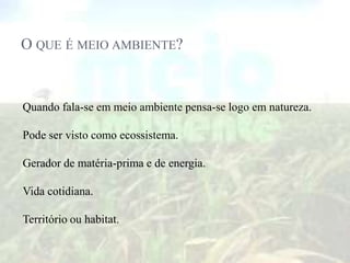 O QUE É MEIO AMBIENTE?


Quando fala-se em meio ambiente pensa-se logo em natureza.

Pode ser visto como ecossistema.

Gerador de matéria-prima e de energia.

Vida cotidiana.

Território ou habitat.
 
