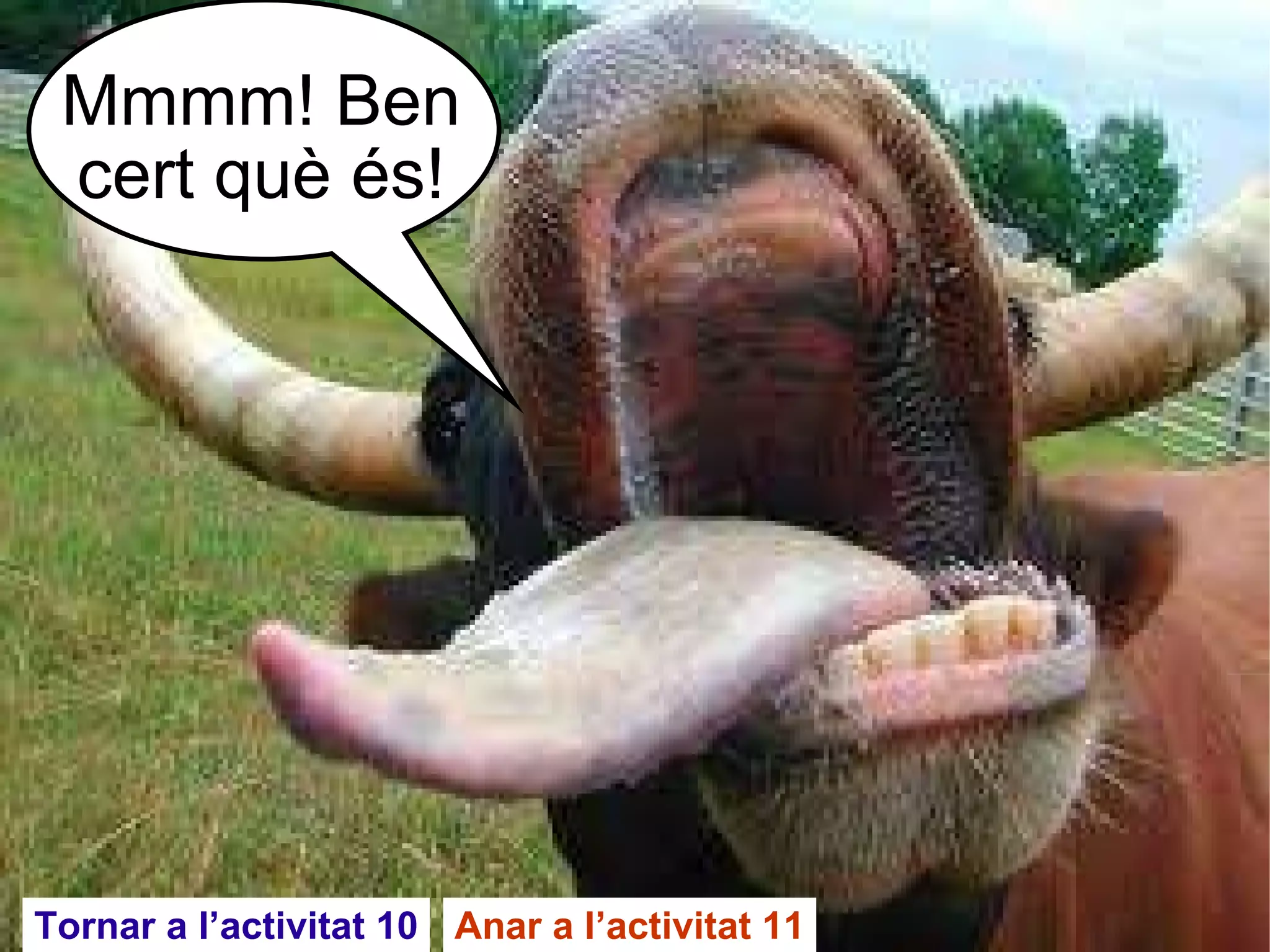 Mmmm! Ben cert què és! Tornar a l’activitat 10 Anar a l’activitat 11 
