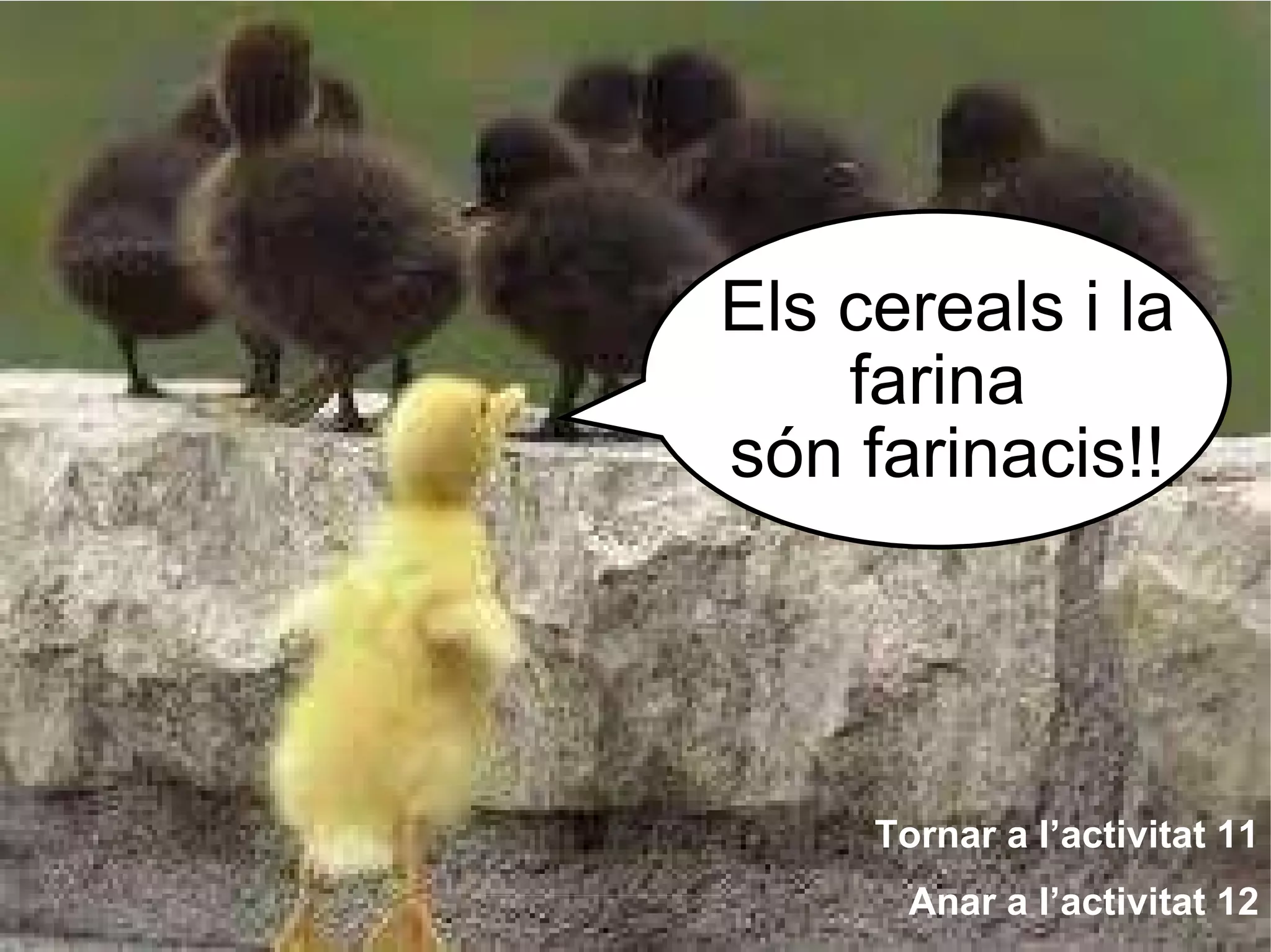 Els cereals i la farina  són farinacis!! Tornar a l’activitat 11 Anar a l’activitat 12 