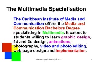 The Multimedia Specialisation The Caribbean Institute of Media and Communication  offers the  Media and Communication Bachelors Degree  specialising in  Multimedia . It caters to students willing to learn  graphic design , 3d and 2d design,  animations , photography,  video and photo editing , web page design and  implementation . 