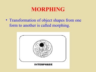 MORPHING
• Transformation of object shapes from one
  form to another is called morphing.
 