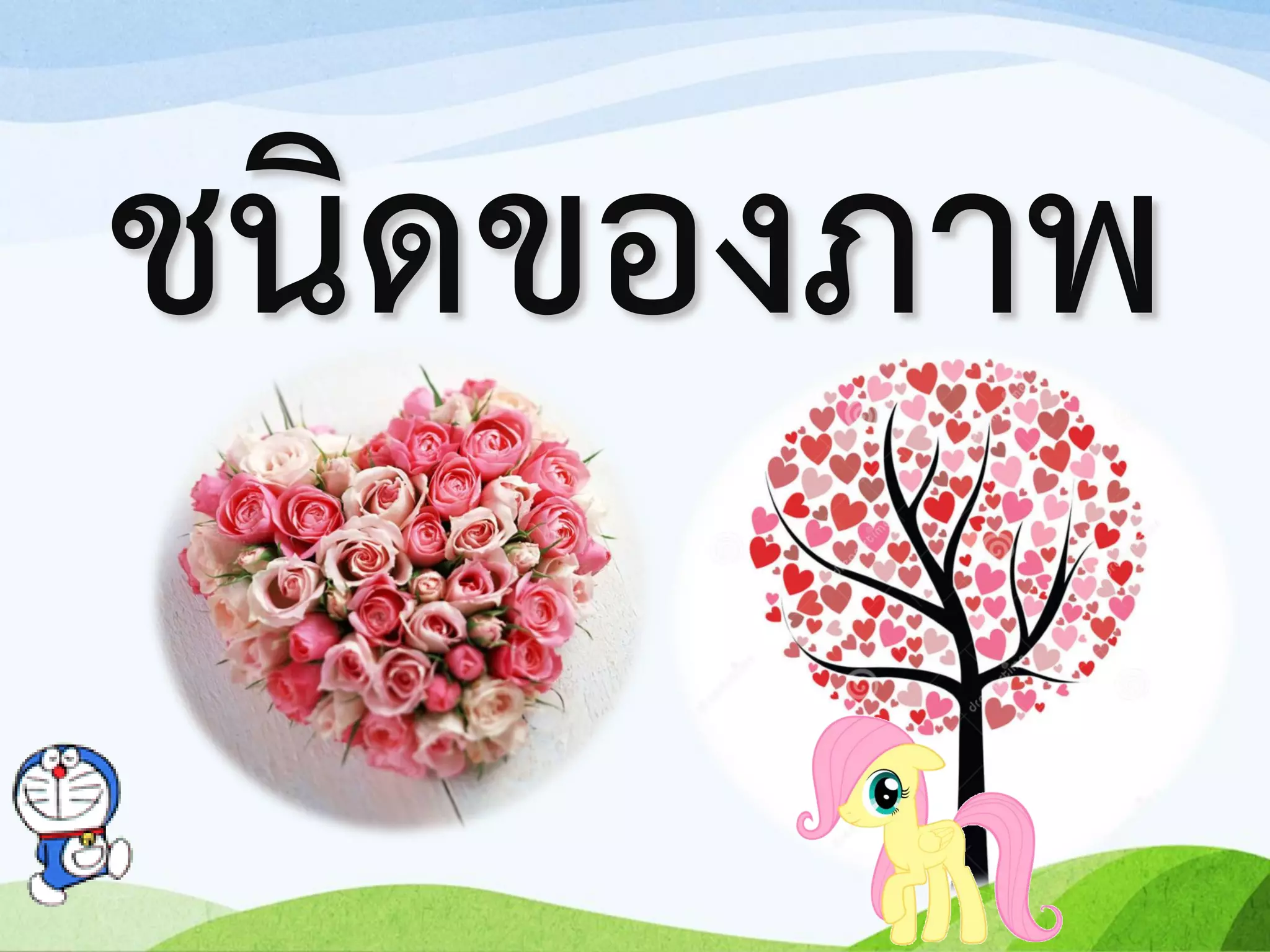 ชนิดของภาพ
 