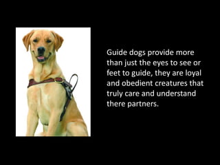 Guide dogs provide more than just the eyes to see or feet to guide, they are loyal and obedient creatures that truly care and understand there partners.
