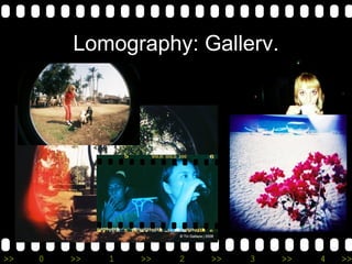 Lomography: Gallery. 