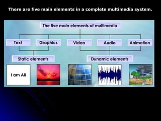 multimedia element | PPT