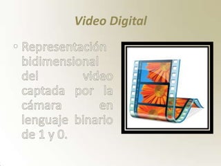 Video Digital
 