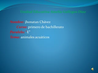 Unidad Educativa Amelia Gallegos Díaz
Nombre: jhonatan Chávez
Curso: primero de bachillerato
Paralelo: “E”
Tema: animales acuáticos
 