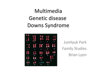 Multimedia Genetic disease  Downs Syndrome JunHyuk Park Family Studies Brian Lyon 