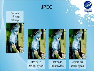 JPEG Source Image bitmap 114862 bytes JPEG 10 12995 bytes JPEG 40 8052 bytes JPEG 90 2886 bytes 