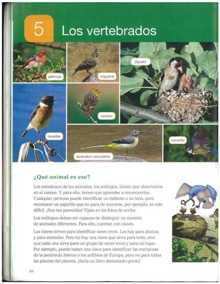 Multimedia - PwP - Animales vertebrados (UD)