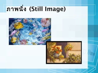 ภาพนิ่ง (Still Image)

 