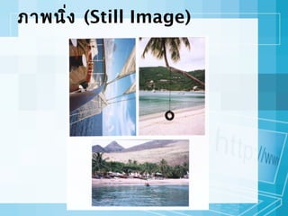 ภาพนิ่ง (Still Image)

 