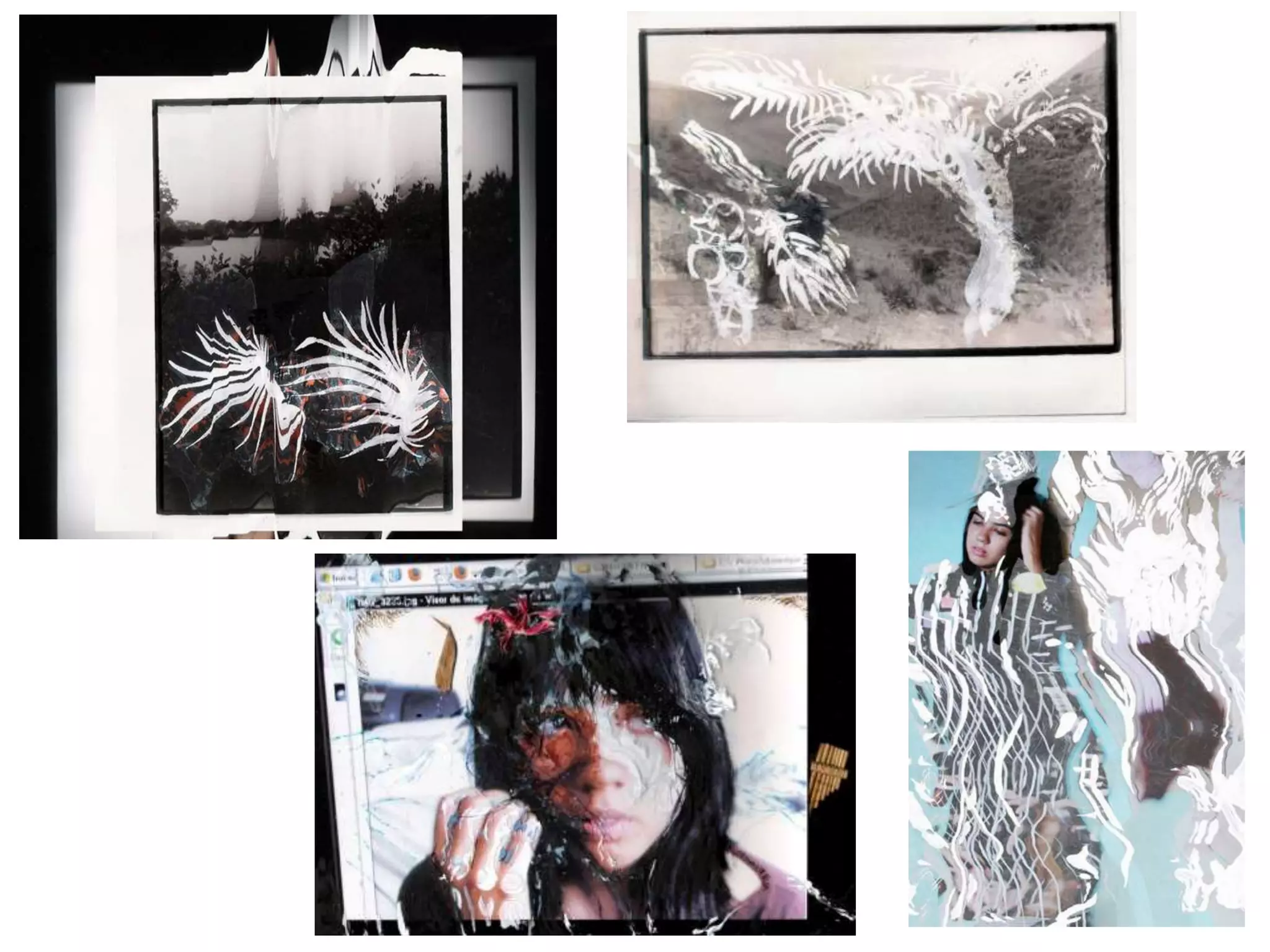 Photography Techniques- Multimedia and Scanography | PPTX