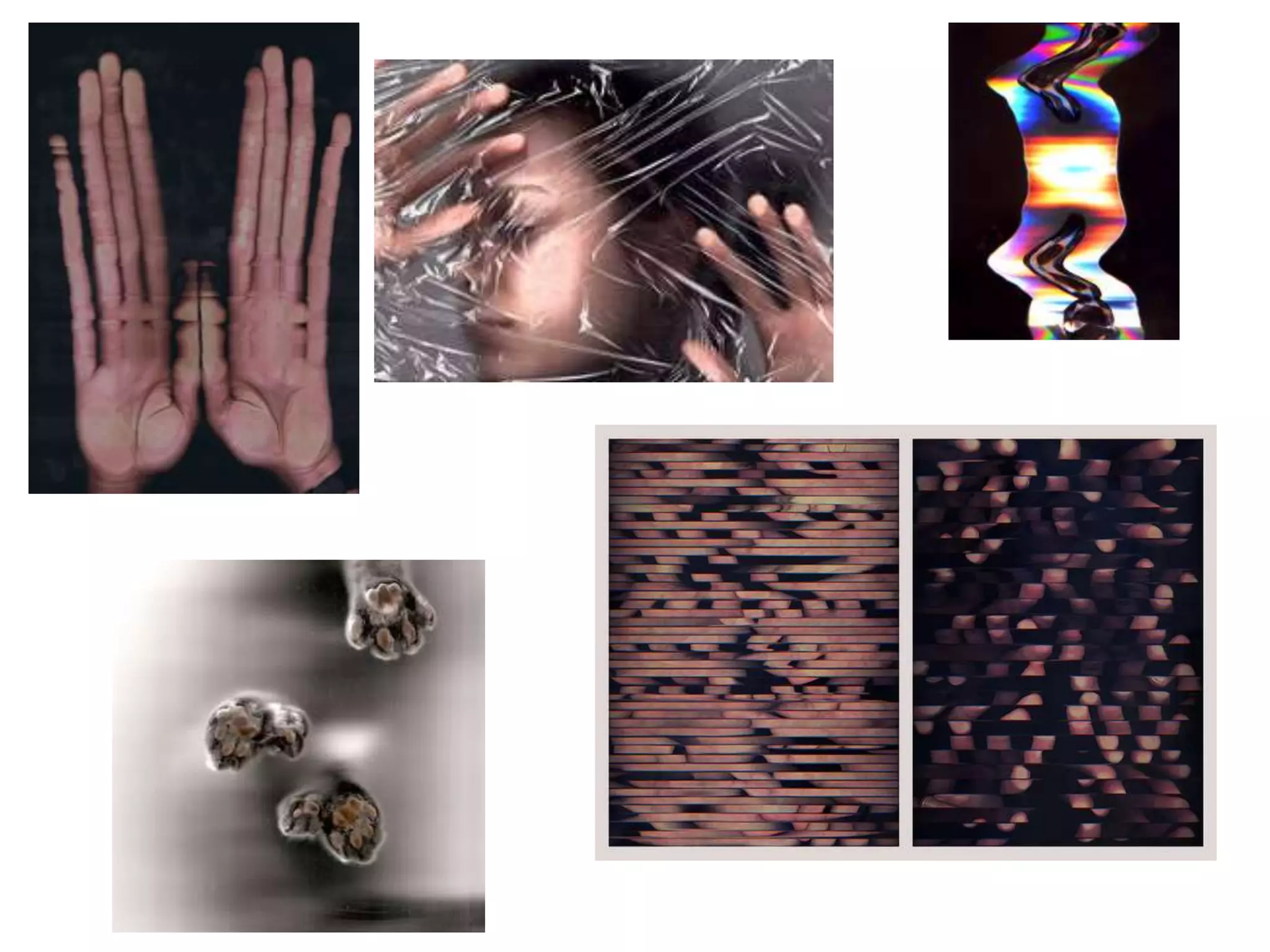 Photography Techniques- Multimedia and Scanography | PPTX