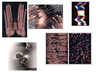 Photography Techniques- Multimedia and Scanography