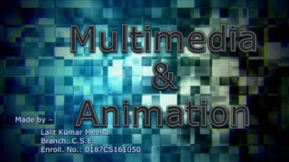 Multimedia & Animation | PPT