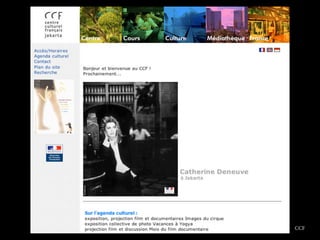 Multimedia Art Asia Pacific