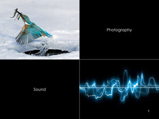 Photography

Sound

1

 