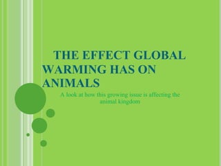   THE EFFECT GLOBAL WARMING HAS ON ANIMALS A look at how this growing issue is affecting the animal kingdom 