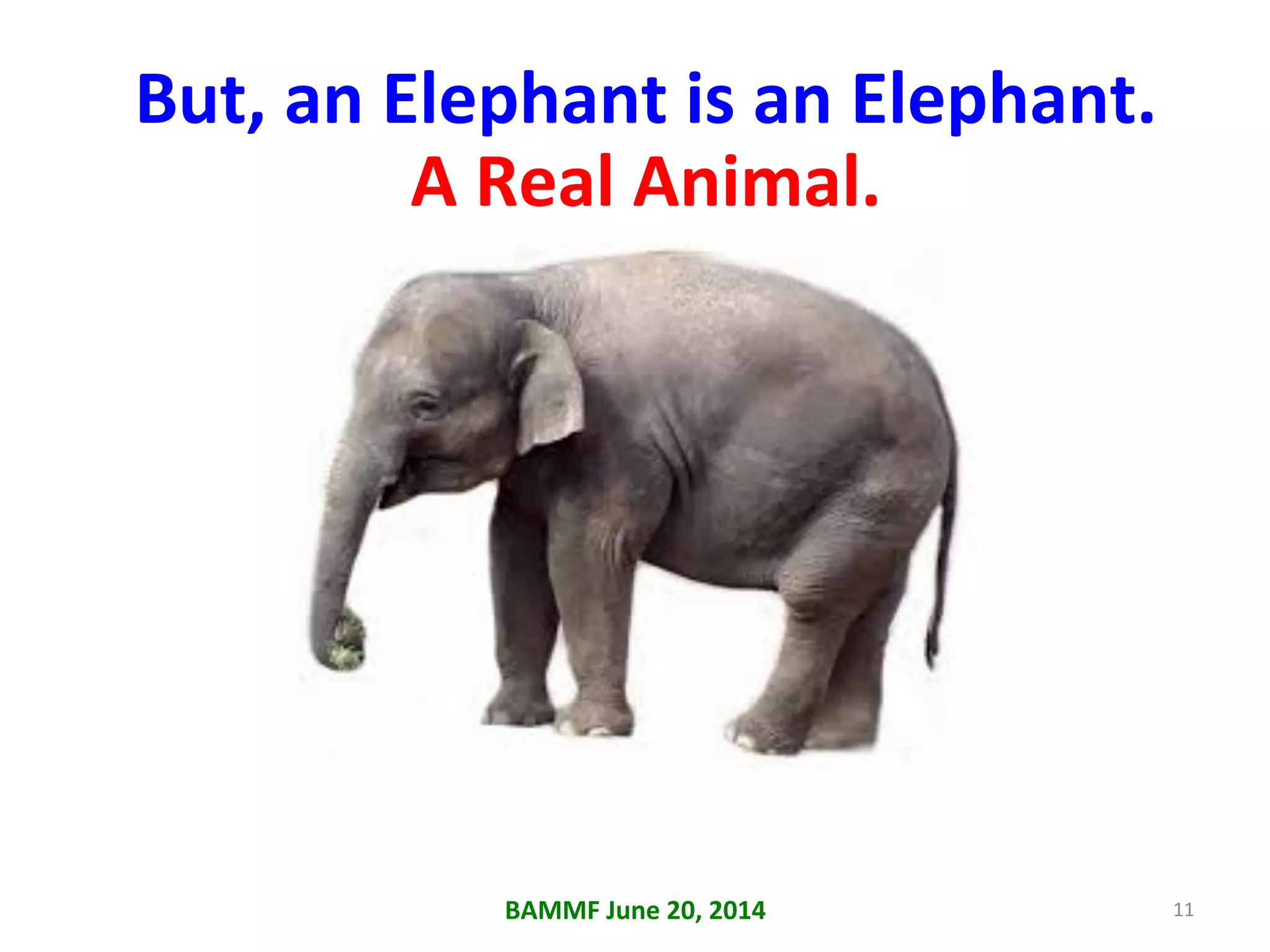BAMMF	
  June	
  20,	
  2014	
   11	
  
But,	
  an	
  Elephant	
  is	
  an	
  Elephant.	
  
A	
  Real	
  Animal.	
  
 