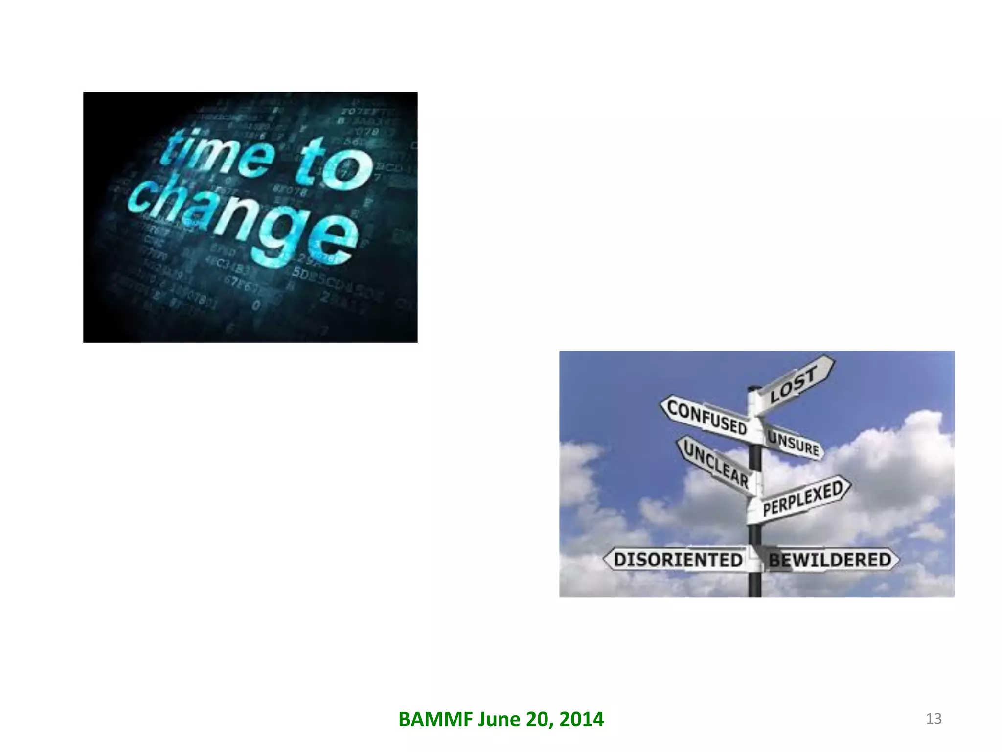 BAMMF	
  June	
  20,	
  2014	
   13	
  
 