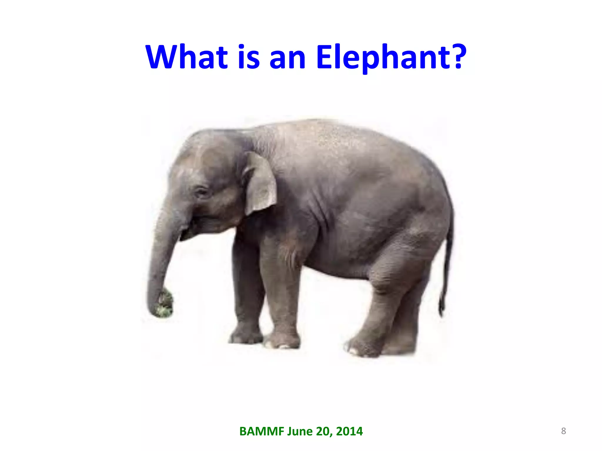 BAMMF	
  June	
  20,	
  2014	
   8	
  
What	
  is	
  an	
  Elephant?	
  
 