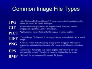 Common Image File Types 