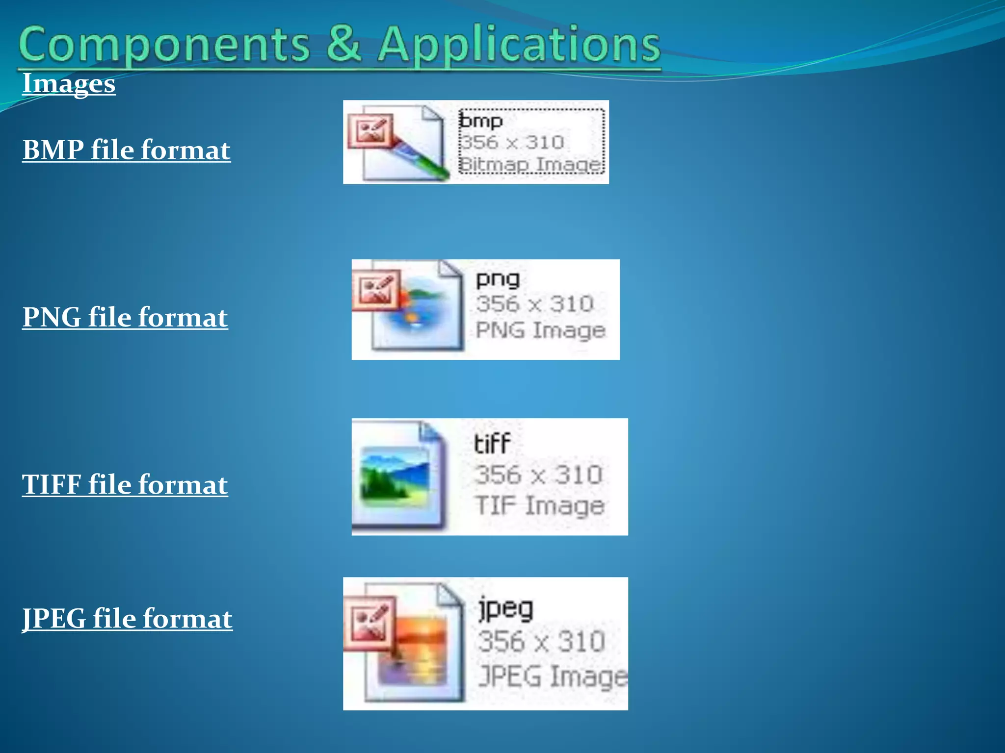 Images
BMP file format

PNG file format

TIFF file format

JPEG file format

 