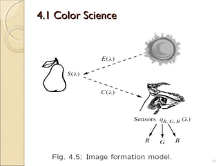 Mass Formation Color Programming Multimedia color in image and video | PPT