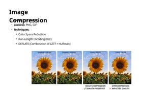 multimedia Compression presentation | PPTX