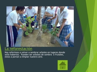 La reforestación
Nos referimos a volver a sembrar arboles en lugares donde
solía haberlos. Pueden ser arboles de sombra o frutales,
estos a portan a limpiar nuestro aire.
 