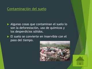 Contaminación del suelo
 Algunas cosas que contaminan el suelo lo
son la deforestación, uso de químicos y
los desperdicios sólidos.
 El suelo se convierte en inservible con el
paso del tiempo.
 
