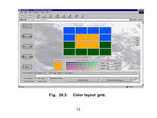 Fig. 20.3: Color layout grid.
13
 