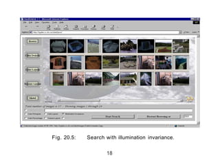 Fig. 20.5: Search with illumination invariance.
18
 
