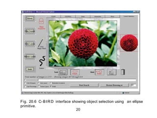 Fig. 20.6 C-BIRD interface showing object selection using an ellipse
primitive.
20
 