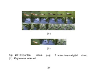 (a)
)b)
(a): F ramesfrom a digital video.Fig. 20.13: Garden video.
(b): Keyframes selected.
37
 