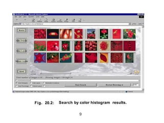 Fig. 20.2: Search by color histogram results.
9
 