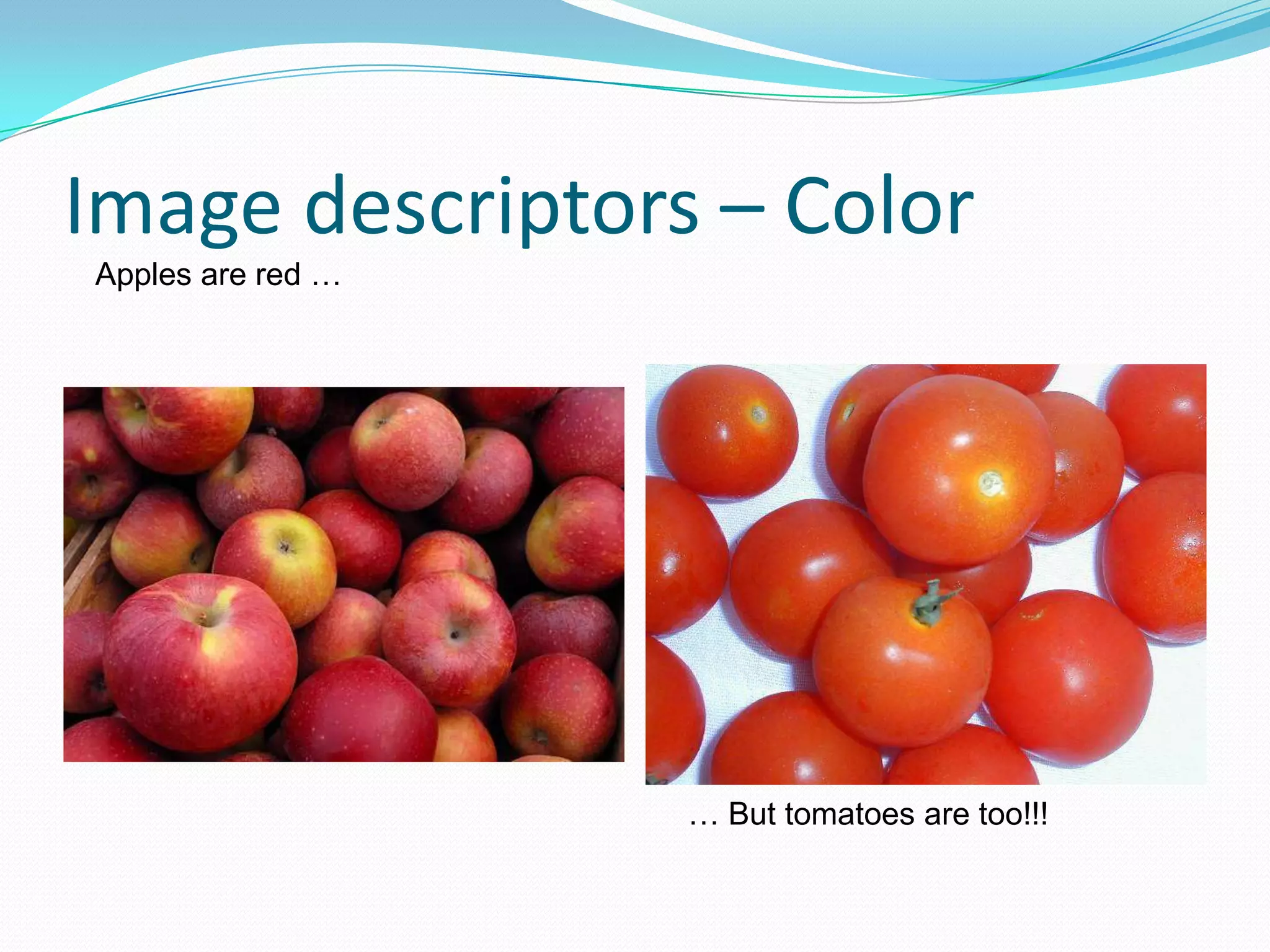 Image descriptors – Color Apples are red … … But tomatoes are too!!!