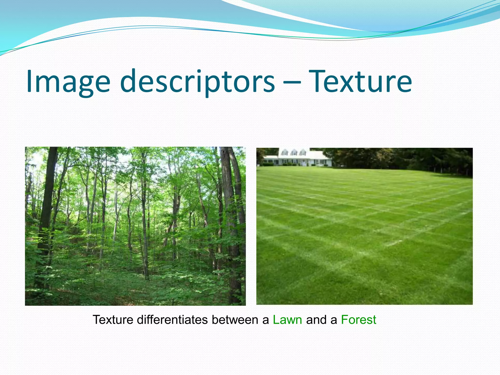 Image descriptors – Texture Texture differentiates between a Lawn and a Forest
